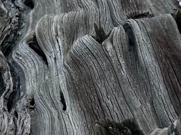 Smartphone B - Cropped
