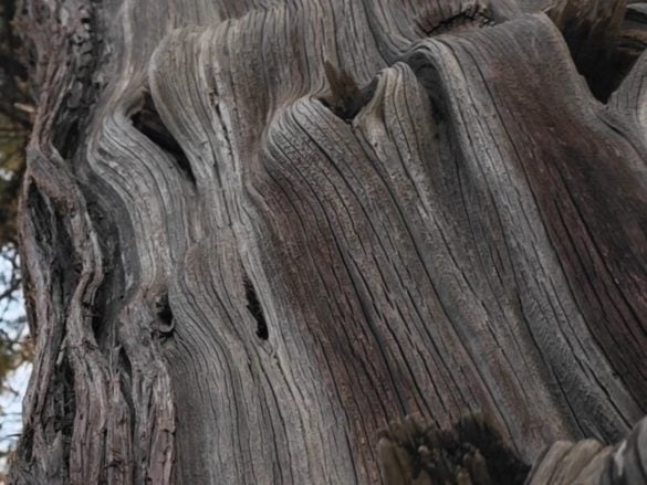 Xiaomi 13 Ultra - Cropped