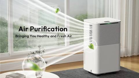 HUMILABS OL12-BD031A Dehumidifier (12L/Day, 2L Water Tank, 24H Timer, 3 Modes)